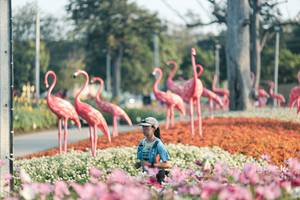 BIB: 
                            <button type="button" onclick="openModal(27344192)" class="btn btn-primary btn-sm float-right btn-popup" data-toggle="modal" data-target=".modal-high-quality">
                        <i class="fas fa-shopping-cart"></i> Add to Cart
                    </button>
                                            <button type="button" onclick="isThisMe(27344192, true)" class="btn btn-success btn-sm float-right btn-popup btn-isme hidden" data-toggle="tooltip" data-placement="bottom" title="นี่คือรูปของคุณใช่ไหม คลิกที่นี่เพื่อเอาเข้าอัลบั้ม">
                        <i class="fas fa-plus"></i> Add to album
                    </button>
                    <button type="button" onclick="isThisMe(27344192, false)" class="btn btn-warning btn-sm float-right btn-popup btn-isnotme hidden">
                        <i class="fas fa-ban"></i> Remove from album
                    </button>